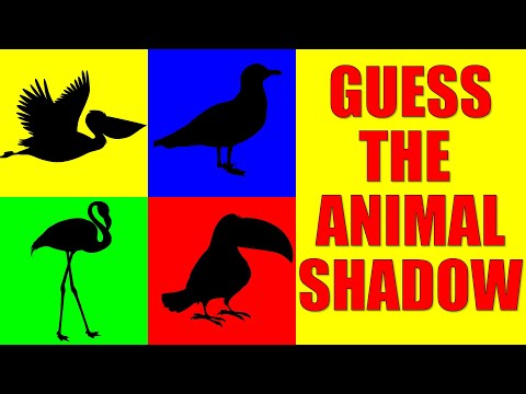Guess the BIRDS from Their Shadow | Quiz Game for Kids, Preschoolers and Kindergarten