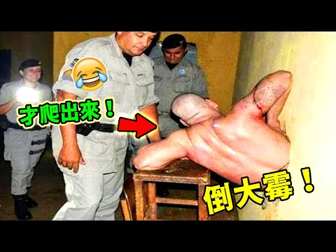 全世界最離奇的六起越獄!湯匙挖穿監獄牆壁只能排第六,第一名的操作離譜到讓人三觀碎裂!