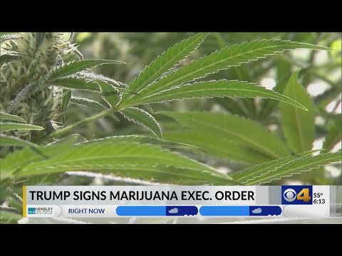 President Trump signs Executive Order to reclassify marijuana