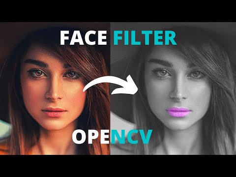 Facial Landmarks and Face Filter using OpenCV Python