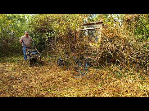 Clearing the Most Extreme Garden Yet for a Mum and Daughter