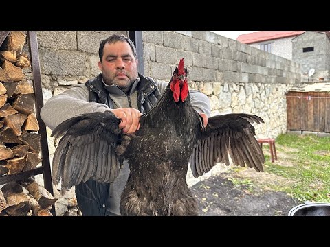 That's why everyone asks for more! Juicy chicken from a cauldron on a fire