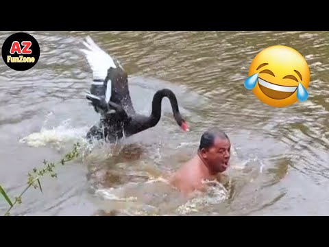Best Funny Videos Of The Year - Fails & Hilarious Moments 😂🤣 Try Not To Laugh #18