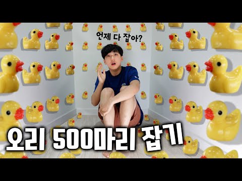 가족들 몰래 집에 오리 500마리를 풀어봤어요ㅋㅋㅋ 여기저기 숨어 있는 오리 찾기 !!