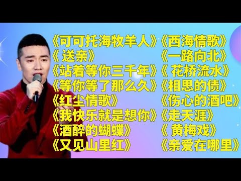 王琪原唱u003C可可托海的牧羊人u003Eu003C送亲u003Eu003C站着等你三千年u003E