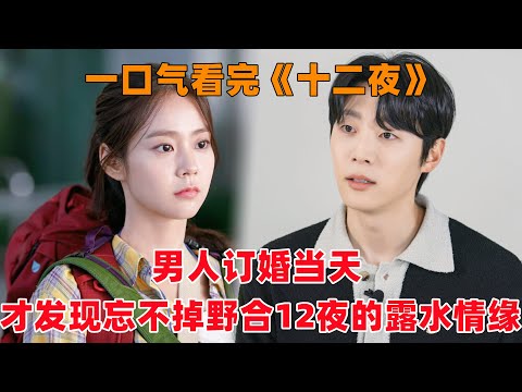 一口气看完韩剧《十二夜》！35岁男人订婚当天，才发现自己忘不掉，曾经野合12个夜晚的‘露水情缘’！
