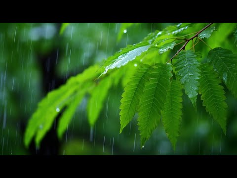 [명상음악] 불안 해소와 에너지 균형 회복! 10분 기치유 힐링 음악으로 심신을 다스리세요