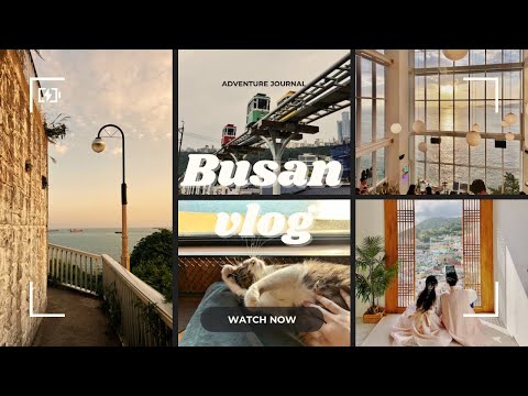 韓國釜山|💰2萬元 六天五夜行程分享💰/ Visit Busan Pass 48H /白淺灘/甘川洞/海雲台/廣安里/梵魚寺/西面住宿