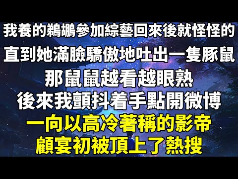 我養的鵜鶘參加綜藝回來後就怪怪的。直到她滿臉驕傲地吐出一隻豚鼠。那鼠鼠，越看越眼熟。後來，我顫抖着手點開微博。果然——一向以高冷著稱的影帝顧宴初被頂上了熱搜。【我的豚豚沒有弟弟了……】