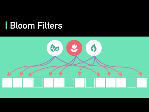 Bloom Filters | Algorithms You Should Know #2 | Real-world Examples