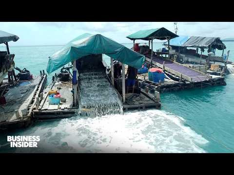 How 9 Billion Phones Are Powered By Rare Metals | Business Insider Marathon