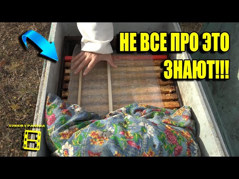 ОЧЕНЬ ВАЖНЫЕ ТОНКОСТИ ДЛЯ ХОРОШЕЙ ЗИМОВКИ ПЧЕЛ ПРИ ПОДГОТОВКЕ!!! ДЛЯ НАЧИНАЮЩИХ ПЧЕЛОВОДОВ 34-21