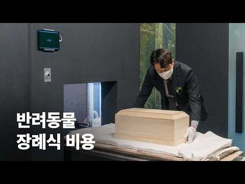 반려동물의 장례 비용은 얼마나 들까? 2024 ver. #강아지장례 #고양이장례 비용