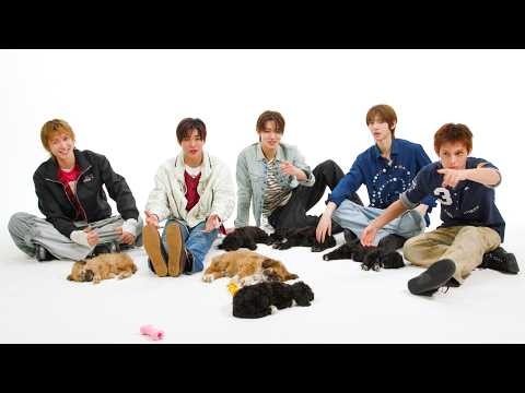 CORTIS: The Puppy Interview