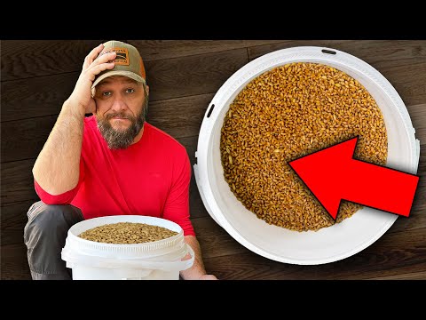30 Year Supply Of Survival Food Ruined!