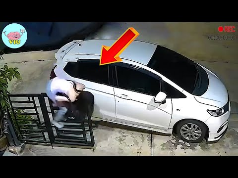 Incredible Moments Caught on Camera !