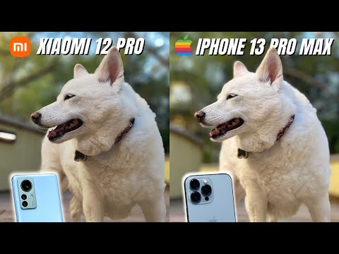 Xiaomi 12 Pro vs iPhone 13 Pro Max Camera Comparison
