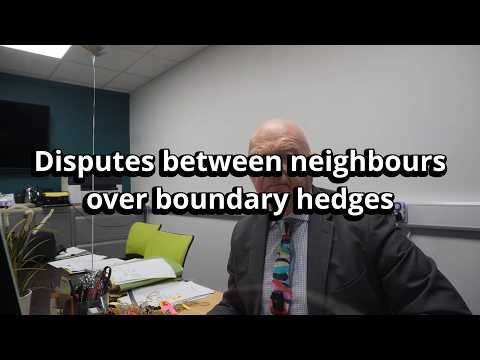 Disputes between neighbours over boundary hedges