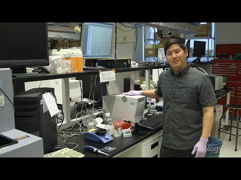 Next Generation Sequencing 4: Checking Nucleic Acids with an Agilent BioAnalyzer - Eric Chow (UCSF)