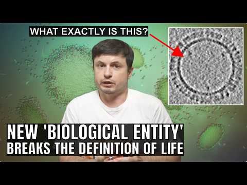 Is This How Viruses Actually Formed? Groundbreaking Biological Discovery