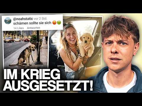 Wie Dubai Influencer ihre Haustiere im Krieg zurücklassen