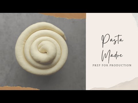 Pasta Madre | How to Prep for Panettone Production