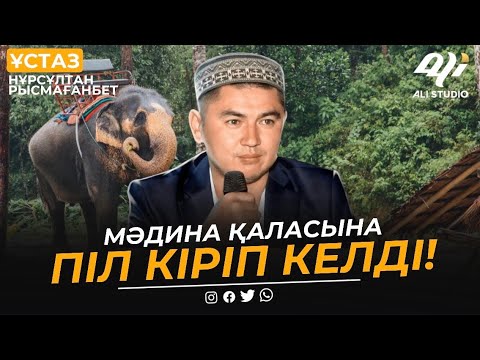 МәДина қаласына піл кіріп келді / ұстаз Нұрсұлтан Рысмағанбет