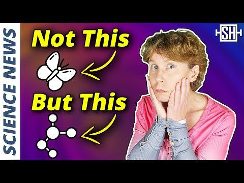 The Butterfly Effect is Much Worse Than We Thought