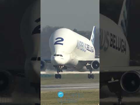 AIRBUS BELUGA LANDING