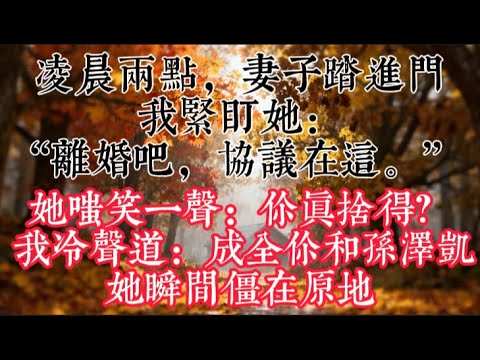 【完結】凌晨兩點，妻子踏進門。我緊盯她：“離婚吧，協議在這。” 她嗤笑一聲：“你真捨得？” 我冷聲道：成全你和孫澤凱。她瞬間僵在原地#情感故事 #情感 #婚姻