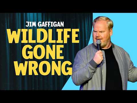 Best of Jim Gaffigan: Moose, Bears, and Bad Decisions