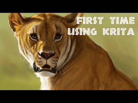 Using Krita For The First Time