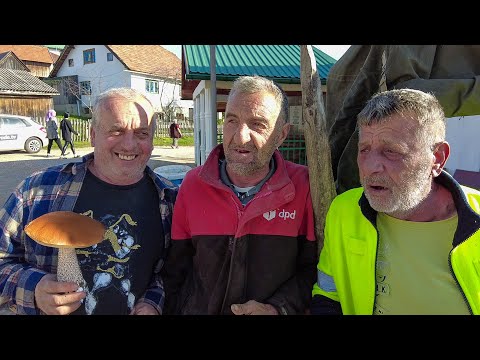 SELO BEZ PUTA zarađuje OGROMNE NOVCE SA GLJIVAMA!