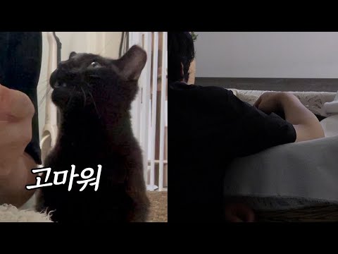 From meeting to parting with the affectionate cat Yori, who shared comfort and warmth with us.