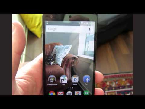 How My Dog Sends Selfies