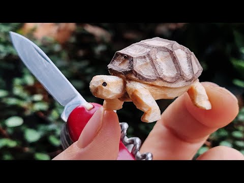 Whittle a 1x1 Tortoise | Step-By-Step Beginner Tutorial