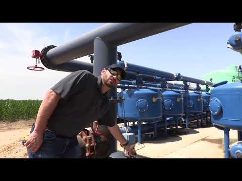 How can farms use cow urine as irrigation?