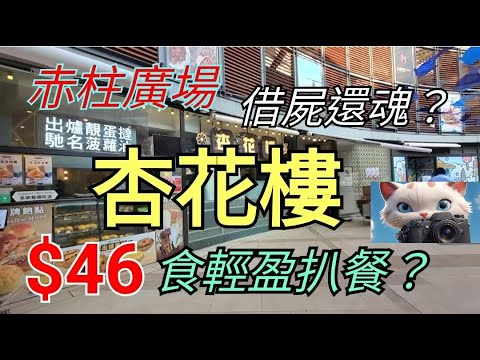 金記冰室，借屍還魂杏花樓，食$46輕盈扒餐？！#街拍 #美食