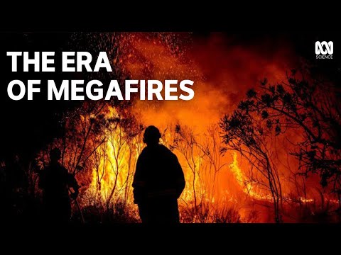 Extreme Wildfires | How megafires are reshaping forests