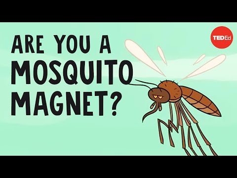 Why mosquitoes bite some people more than others - Maria Elena De Obaldia