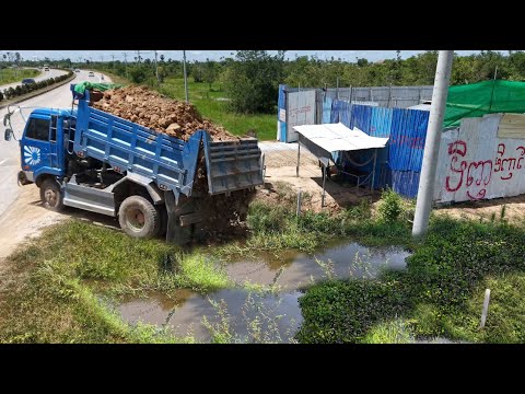 Be Carefully Start New Project!DumpTruck Filling  Land,Flood Area With Skill Dozer 21P  Pushing Soil