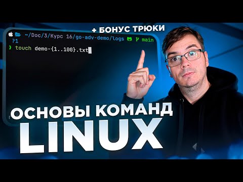Linux Command Basics and Advanced Tricks