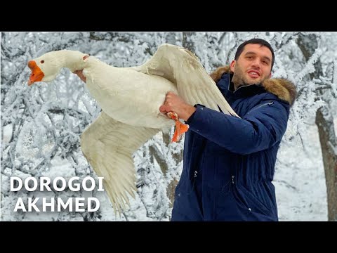 GOOSE IN THE OVEN. THE SECRET OF DELICIOUS MEAT. Click subtitles