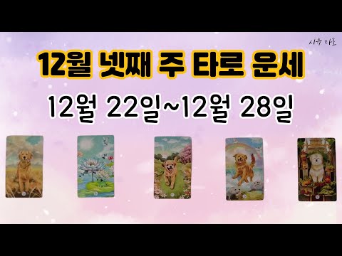 [타로주간운세]🌈12월 넷째 주_12월 22일~12월 28일