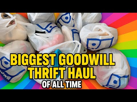 LARGEST Goodwill Thrifting Haul in the HISTORY of Reselling