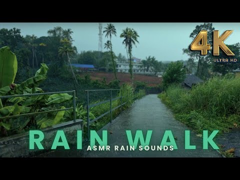 ASMR Rain Walk: Deep Relaxation Path Through the Trees | Our Compilation Walk : Sleep and Meditation