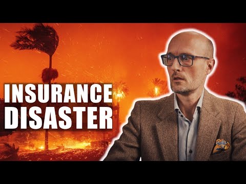 The Economic Toll of The Los Angeles Wildfires