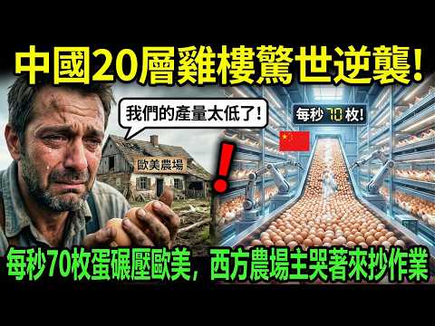 中國空中養雞場驚世逆襲！每秒七十枚蛋碾壓歐美，西方農場主哭著來抄作業