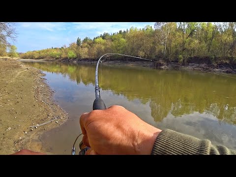 ОФИГЕТЬ! ВОТ ЭТО Я ПОЙМАЛ! ШИКАРНЫЕ ДЕБРИ ПОЛНЫЕ РЫБОЙ! Рыбалка на спиннинг 2025.