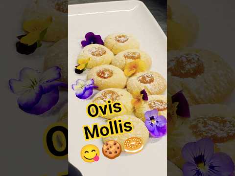 Biscuits Ovis Mollis @DiwasCucina😋🍪🇮🇹 #shorts #youtubeshorts #youtube #food #yt #cooking #tiktok